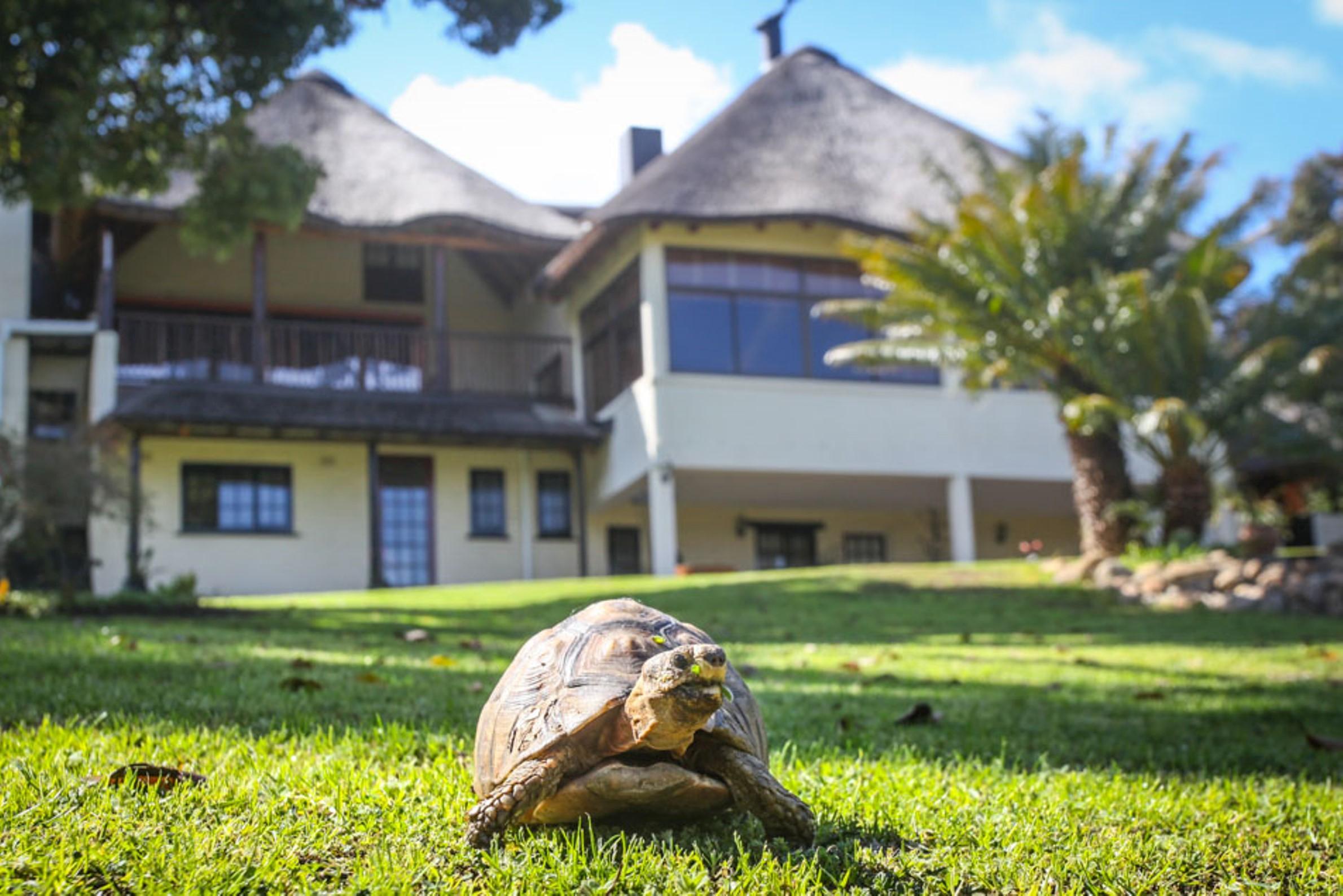 Winelands Villa Guesthouse And Cottages Somerset West Eksteriør bilde