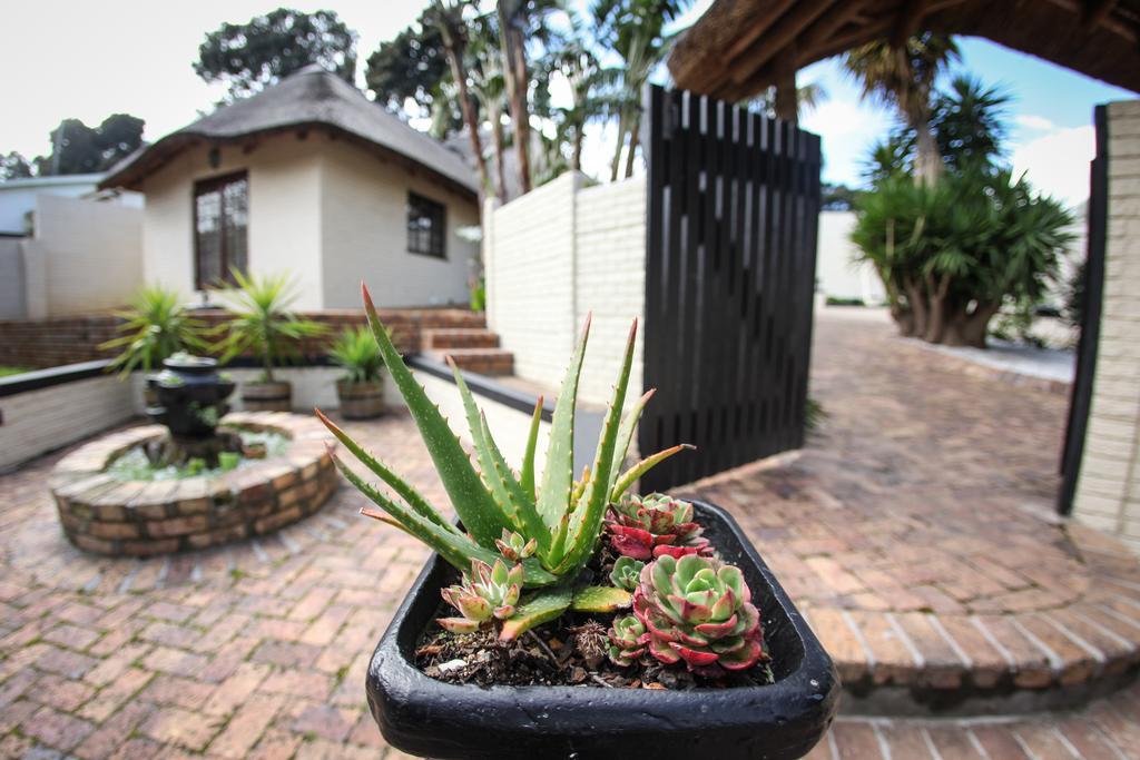 Winelands Villa Guesthouse And Cottages Somerset West Rom bilde