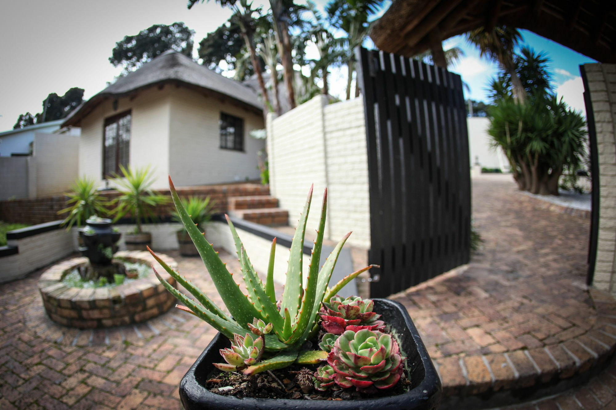 Winelands Villa Guesthouse And Cottages Somerset West Eksteriør bilde